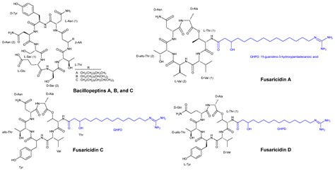 Cyclic Peptides With Antifungal Properties Derived From Bacteria Fungi Plants And Synthetic