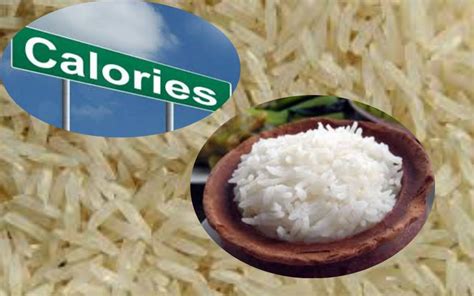 How Many Calories Are In A Plate Of Rice 1 Plate Rice Calories Bharat Rice