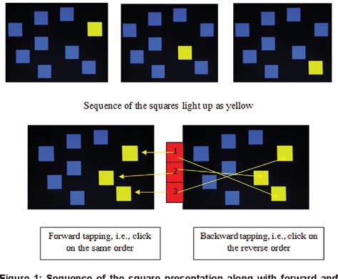 Figure 1 From Performance In A Corsi Block Tapping Task Following High