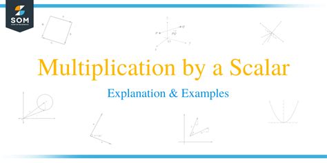 Multiplication By A Scalar Explanation And Examples