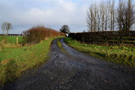 Rough Lane Laragh Kenneth Allen Geograph Britain And Ireland