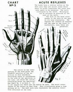 Polarity Therapy Volume Book Chart Polarity Therapy Meridians