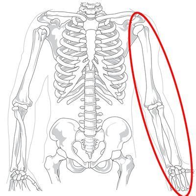 Pain in the Left Arm and Hand - Causes and Remedies