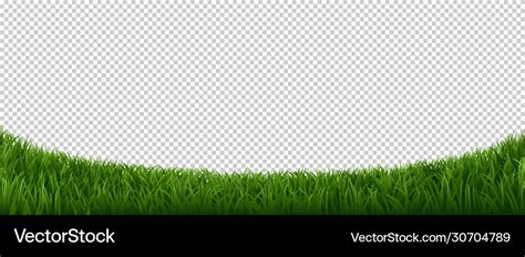 Realistic Grass Border Green Herb Lawn Garden Vector Image