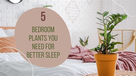 Keep These Plants In Your Bedroom For Better Sleep