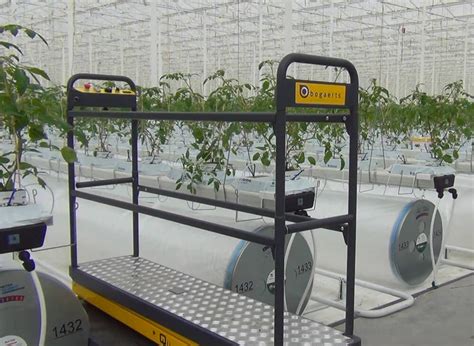 Greenhouse Harvest Trolley Qii Lift F Series Bogaerts Self