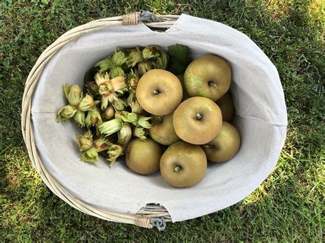 Spirit Of Prespa On Twitter From Todays Walk In The Orchard We