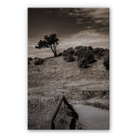 Tableau En Alu Dibond Paysage Hiddensee Wall Art Fr