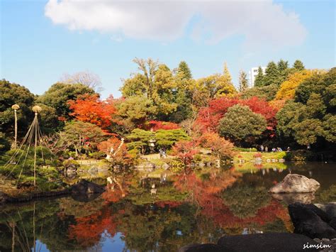 旧古河庭園で紅葉と秋バラを楽しむ：東京の紅葉スポット巡り