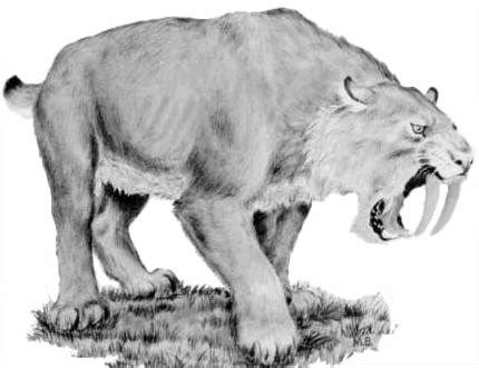 El Smilodon Qu Personaje De La Pel Cula La Era De Hielo Soy