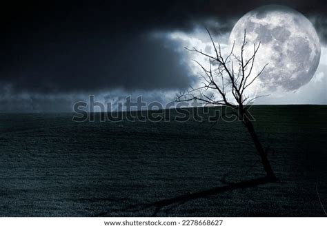 Dark Scenery Naked Tree Full Moon Stock Photo Shutterstock