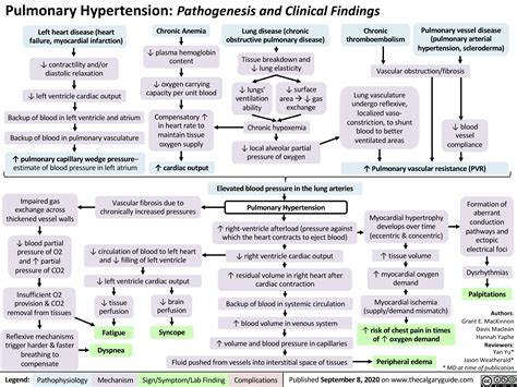 Flow Chart Pulmonary Hypertension Pathophysiology Epr Sexiz Pix