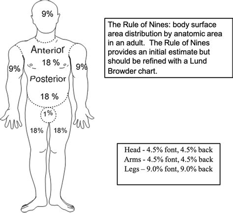 The Rule Of Nines Source Usair Burn Center Used With Permission