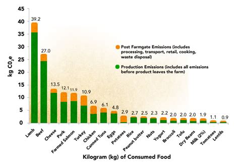 Sustainable Beef Kristens Sustainable Marketing Blog