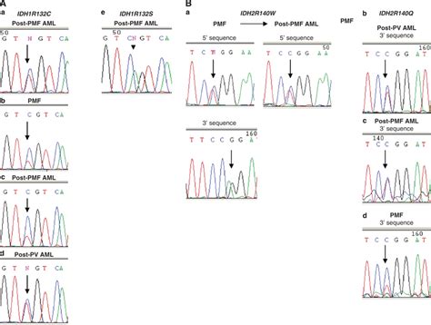 A Dna Sequence Traces Showing Nucleotide Substitutions In The Idh1