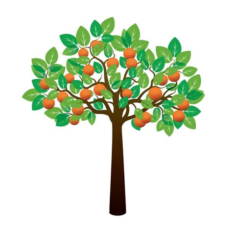 Vector arbol de limon Árbol de limón y frutas Ilustración de vector