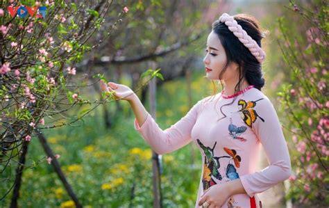 Mùa xuân đẹp nhất ảnh đẹp mùa xuân việt nam Hãy cùng chiêm ngưỡng