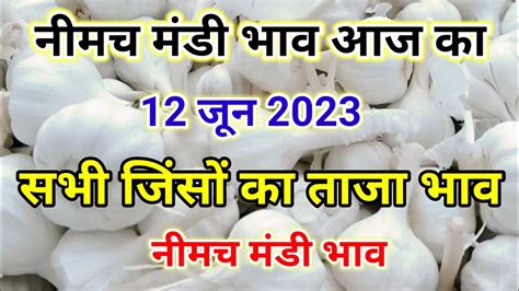 नीमच मंडी का भाव 12 जून 2023 नीमच मंडी सभी जिंसों का भाव नीमच मंडी आज