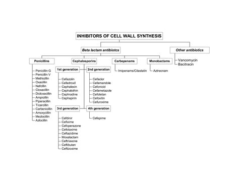 Beta Lactam Antibiotics And Other Inhibitors Of Cell Wall Synthesis Ppt