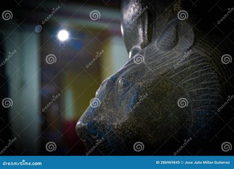 The Egyptian Museum from Inside Editorial Image - Image of temple ...