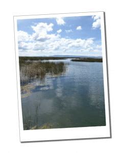 An Amazing Day Homestay On Lake Titicaca Why It Needs To Be On Your