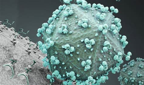 Aids Virus Under Microscope