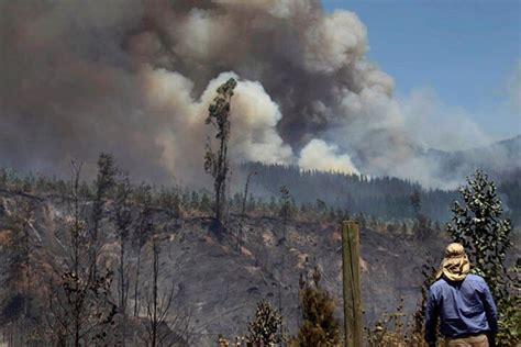 Puebla primer lugar en hectáreas afectadas por incendios Periodismo Hoy