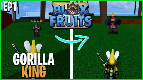 KITA MENJADI BAJAK LAUT DAN MELAWAN RAJA GORILLA Roblox Blox Fruits