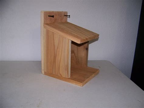 Bird In Everything: Robin Bird House Design