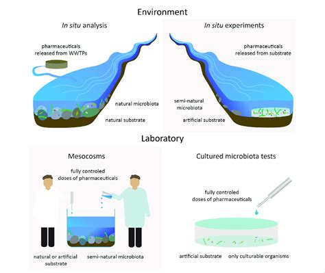 Four main types of research conducted on microbial communities ...