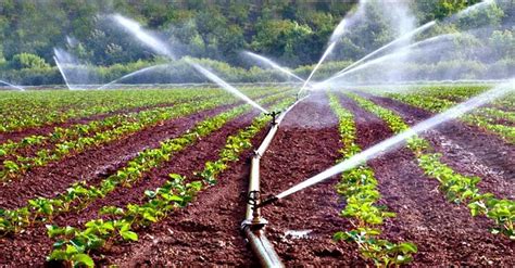 Types Of Irrigation Methods Farms And Landscapes