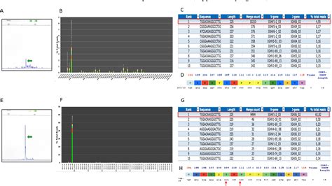 Figure 1 From Deep Sequencing Of Immunoglobulin Genes Identifies A Very Low Percentage Of