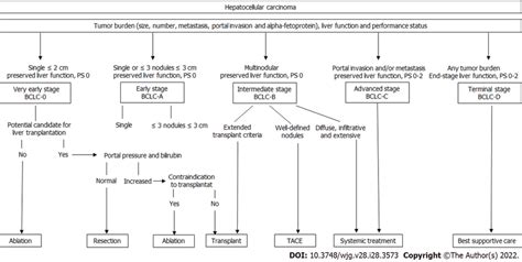 Treatment algorithm for hepatocellular carcinoma based on level-1 ...