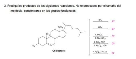 Solved Prediga Los Productos De Las Siguientes Chegg