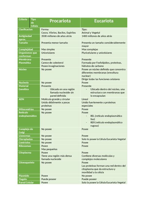 Cuadro Comparativo Celula Procariota Eucariota Animal Vegetal 5