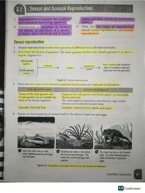 F1 Science Chapter 4 Note | PDF 