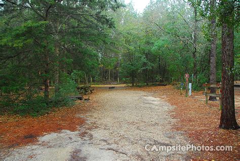 Falling Waters State Park - Campsite Photos, Info & Reservations