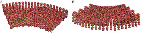 A Proposed Unified Mitotic Chromosome Architecture PNAS