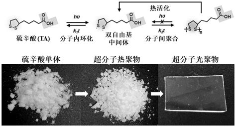 基于硫辛酸类小分子化合物的光交联动态可逆超分子聚合物粘合剂的制备方法