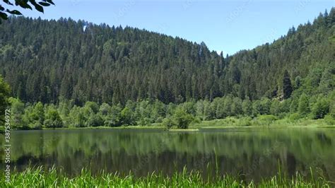 Schwenk Ber Den Sankenbachsee Bei Baiersbronn Im Schwarzwald