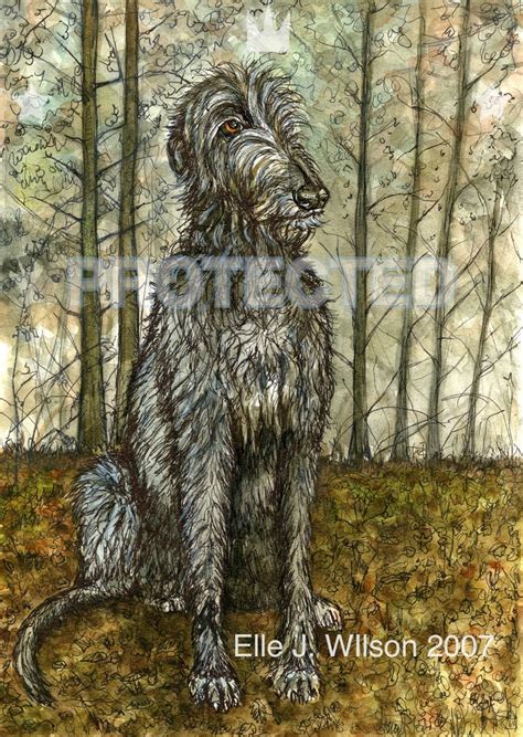 Irish Wolfhound Art Print | Etsy