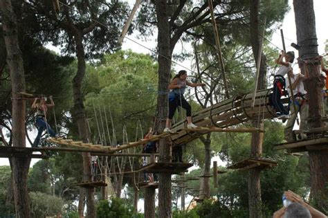 Actividades Deportivas El Bosque Suspendido