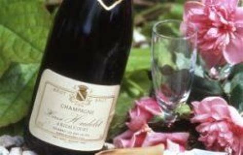 Champagne Herve Hudelet Richebourg Haute Marne Attractivit