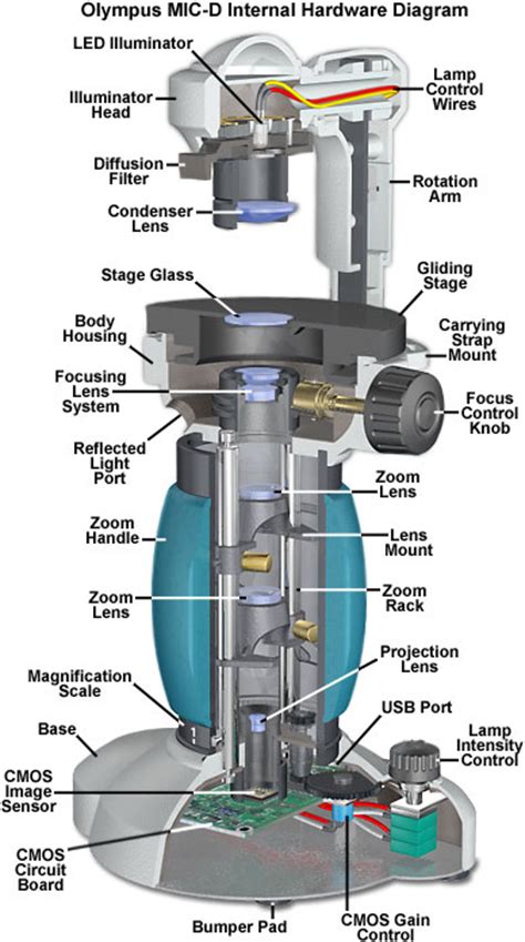 Molecular Expressions Science Optics You Olympus Mic D Anatomy