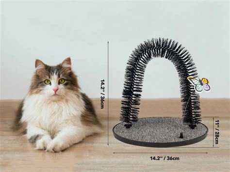 Amazon Pet Prime In Cat Arch Self Groomer For Indoor Cats Back