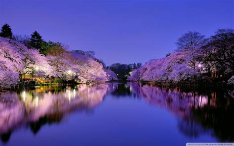 Osaka Wallpapers - Top Free Osaka Backgrounds - WallpaperAccess