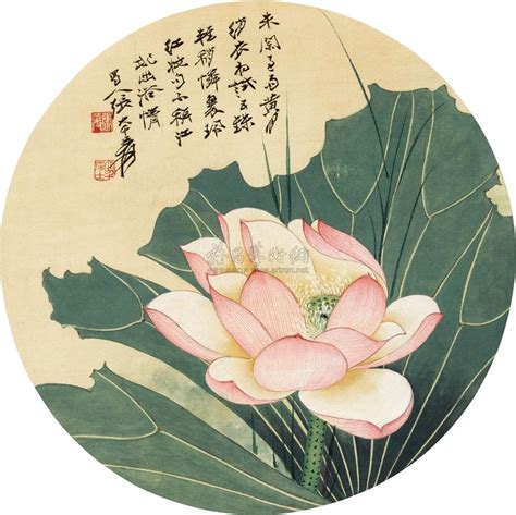 张大千 荷花 镜心北京翰海 翰海四季（第69期）2010金秋拍卖会北京翰海拍品价格图片拍卖专场拍卖会预展拍卖会结果卓克拍卖频道