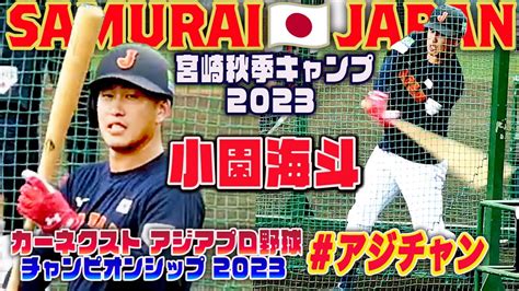 【侍ジャパン🇯🇵宮崎キャンプ】はじける打球音！小園海斗 成長を感じさせるバッティング アジアプロ野球チャンピオンシップ＃アジチャン Youtube