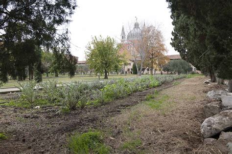 Venice Gardens Foundation Il Restauro Dei Giardini Del Redentore A