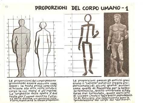 Le Proporzioni Del Corpo Umano Uceryce